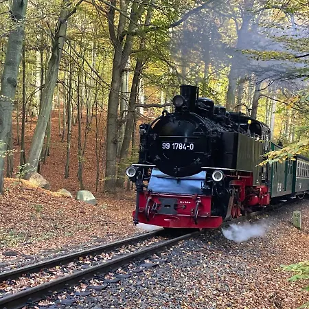 Metropol - We 14 In Strandnaehe Und Zentrumsnah Apartmán